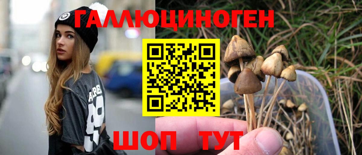 продажа наркотиков  Галлюциногенные грибы Psilocybine cubensis  Вход с VPN  Партизанск  Псилоцибиновые грибы мухоморы 